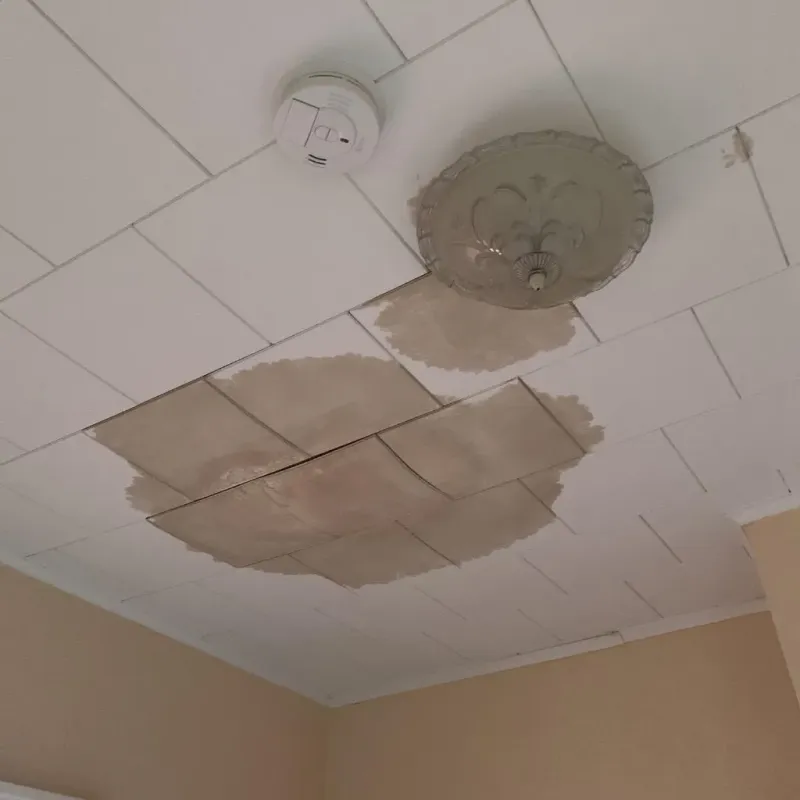 Ceiling Water Damage Repair in Collegeville, MN
