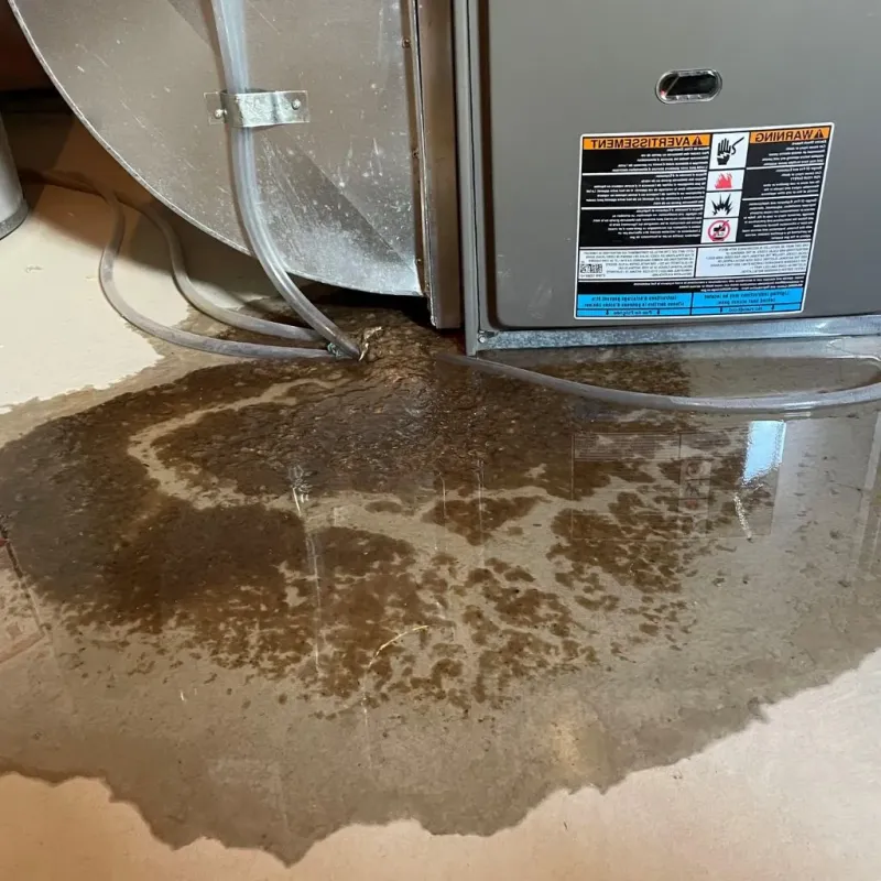Pipe Burst and Leak Restoration in Collegeville, MN